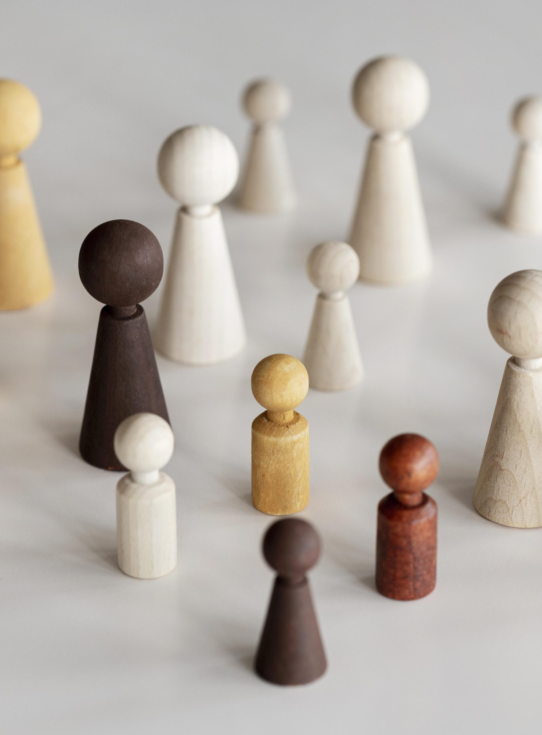 various-wooden-characters-inclusion-concept